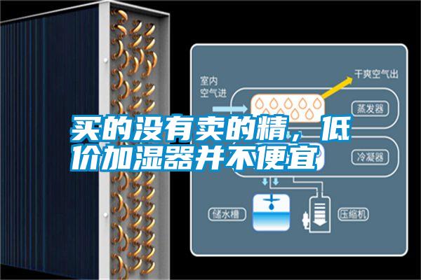 買的沒(méi)有賣的精，低價(jià)加濕器并不便宜
