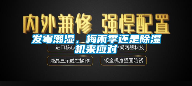 發(fā)霉潮濕，梅雨季還是除濕機(jī)來應(yīng)對