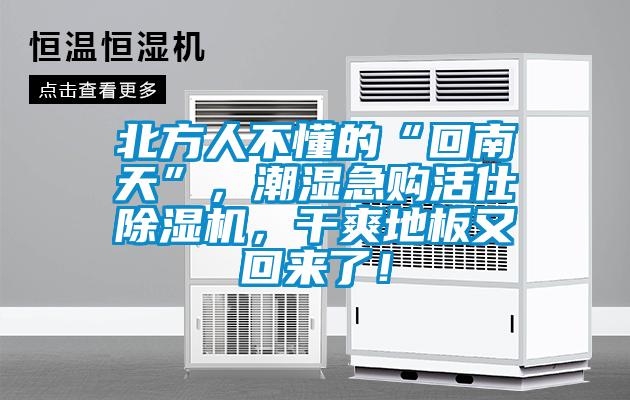 北方人不懂的“回南天”，潮濕急購活仕除濕機，干爽地板又回來了！