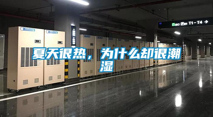 夏天很熱，為什么卻很潮濕