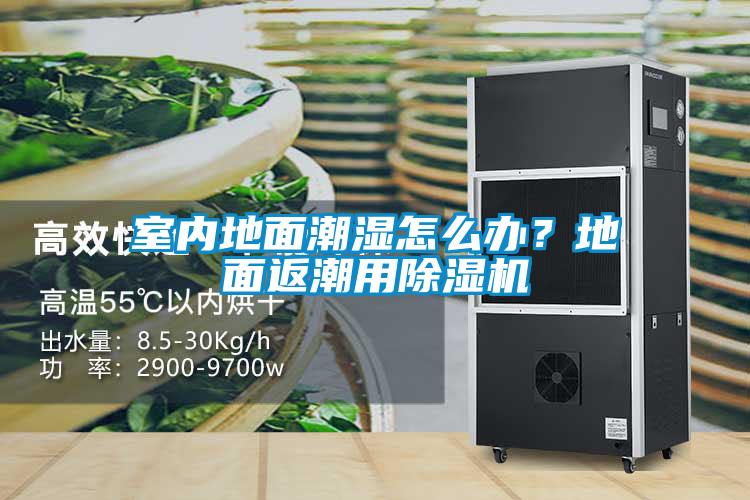 室內(nèi)地面潮濕怎么辦？地面返潮用除濕機