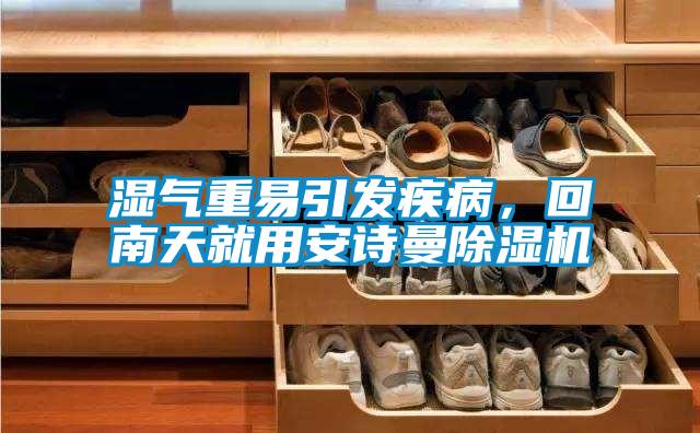 濕氣重易引發(fā)疾病,回南天就用安詩曼除濕機(jī)