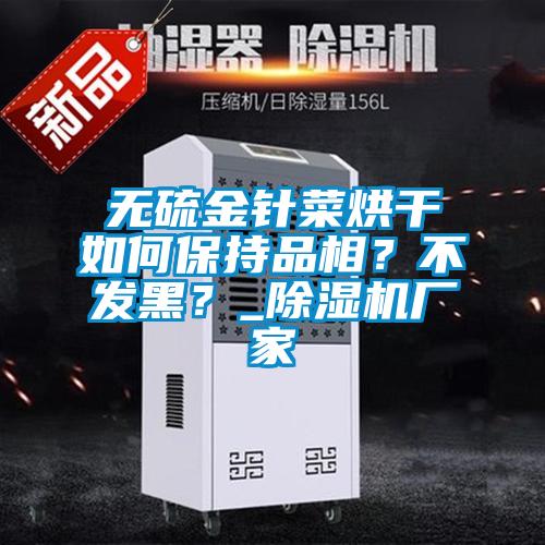 無硫金針菜烘干如何保持品相？不發(fā)黑？_除濕機廠家