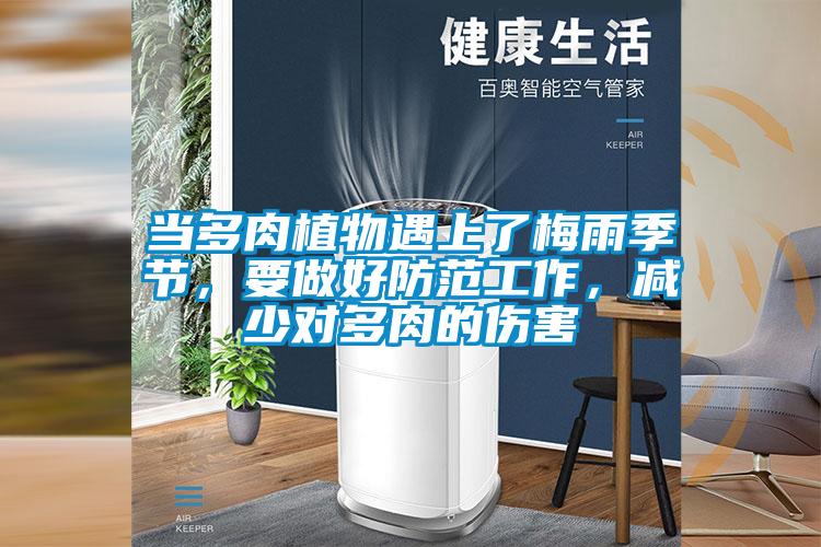 當多肉植物遇上了梅雨季節，要做好防范工作，減少對多肉的傷害