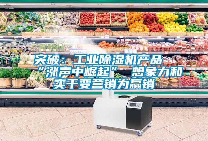 突破：工業(yè)除濕機產品“漲聲中崛起” 想象力和實干變營銷為贏銷