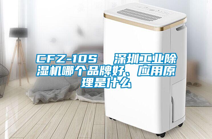 CFZ-10S  深圳工業除濕機哪個品牌好、應用原理是什么