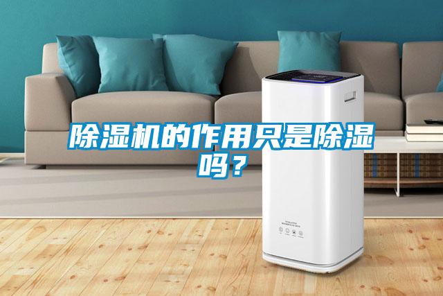 除濕機(jī)的作用只是除濕嗎？