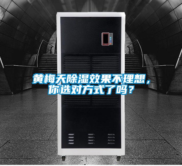 黃梅天除濕效果不理想，你選對方式了嗎？