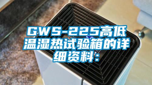GWS-225高低溫濕熱試驗箱的詳細資料: