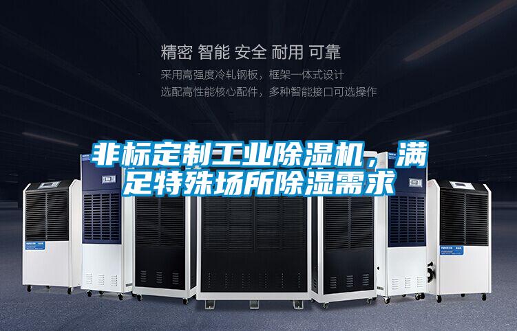 非標定制工業除濕機，滿足特殊場所除濕需求