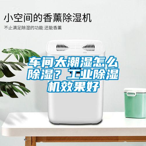車間太潮濕怎么除濕？工業(yè)除濕機效果好