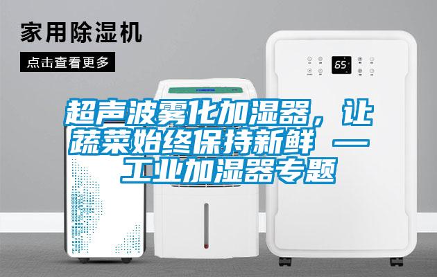 超聲波霧化加濕器，讓蔬菜始終保持新鮮 — 工業加濕器專題