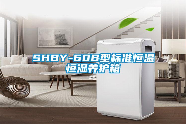 SHBY-60B型標準恒溫恒濕養(yǎng)護箱