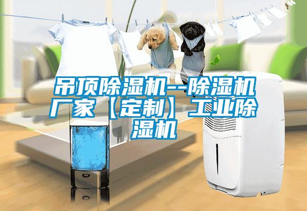 吊頂除濕機(jī)--除濕機(jī)廠家【定制】工業(yè)除濕機(jī)