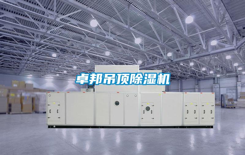 卓邦吊頂除濕機