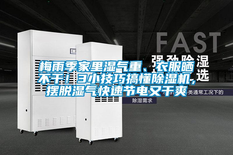 梅雨季家里濕氣重、衣服曬不干！3小技巧搞懂除濕機(jī)，擺脫濕氣快速節(jié)電又干爽