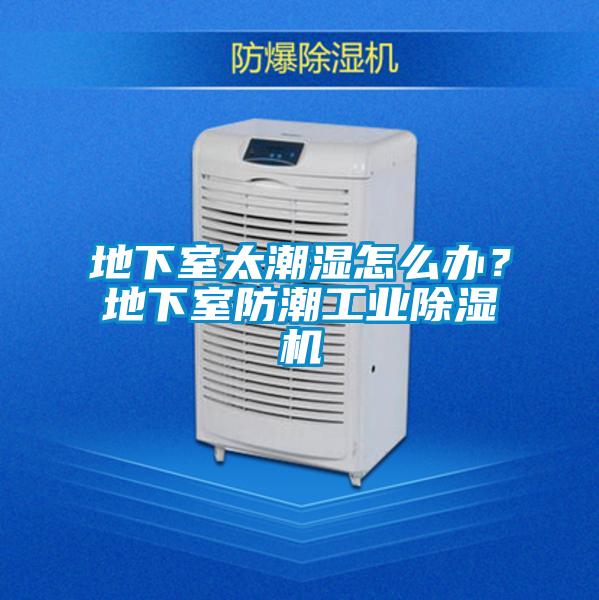 地下室太潮濕怎么辦？地下室防潮工業(yè)除濕機