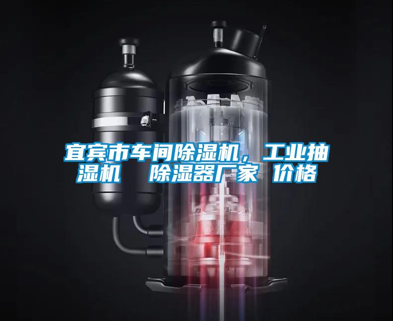 宜賓市車間除濕機，工業(yè)抽濕機  除濕器廠家 價格