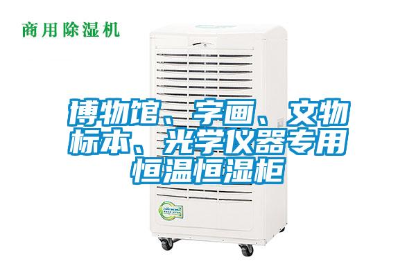博物館、字畫、文物標本、光學(xué)儀器專用恒溫恒濕柜