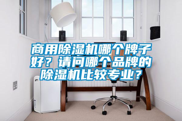 商用除濕機哪個牌子好？請問哪個品牌的除濕機比較專業？