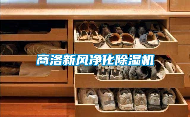 商洛新風(fēng)凈化除濕機