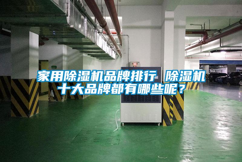 家用除濕機(jī)品牌排行 除濕機(jī)十大品牌都有哪些呢？