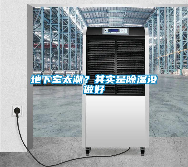 地下室太潮？其實是除濕沒做好