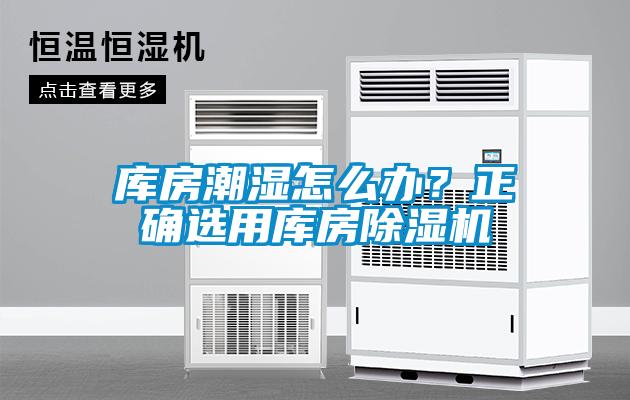庫房潮濕怎么辦？正確選用庫房除濕機
