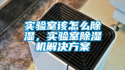 實驗室該怎么除濕，實驗室除濕機解決方案