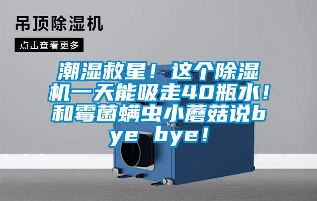 潮濕救星！這個(gè)除濕機(jī)一天能吸走40瓶水！和霉菌螨蟲小蘑菇說bye bye！