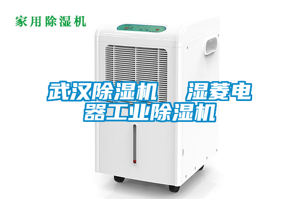 武漢除濕機  濕菱電器工業除濕機