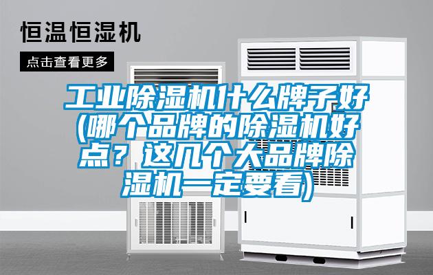 工業(yè)除濕機(jī)什么牌子好(哪個品牌的除濕機(jī)好點？這幾個大品牌除濕機(jī)一定要看)