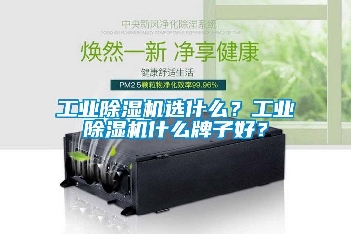 工業除濕機選什么？工業除濕機什么牌子好？