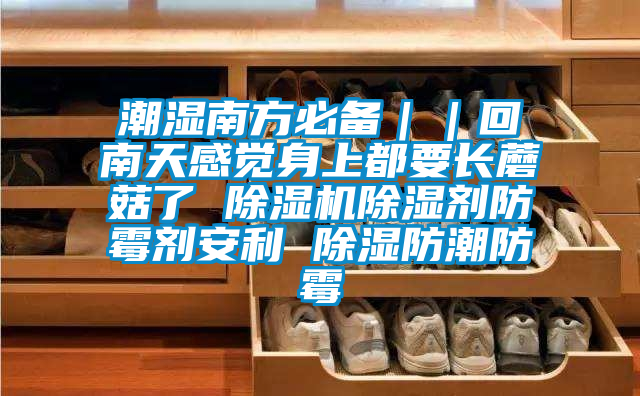 潮濕南方必備｜｜回南天感覺(jué)身上都要長(zhǎng)蘑菇了 除濕機(jī)除濕劑防霉劑安利 除濕防潮防霉
