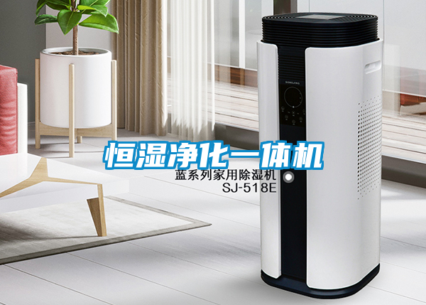 恒濕凈化一體機(jī)