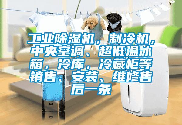 工業(yè)除濕機(jī)，制冷機(jī)，中央空調(diào)、超低溫冰箱，冷庫，冷藏柜等銷售、安裝、維修售后一條