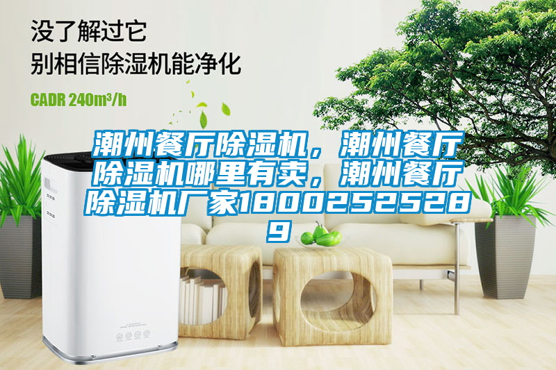 潮州餐廳除濕機，潮州餐廳除濕機哪里有賣，潮州餐廳除濕機廠家18002525289