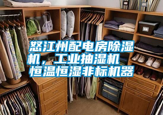 怒江州配電房除濕機，工業抽濕機  恒溫恒濕非標機器