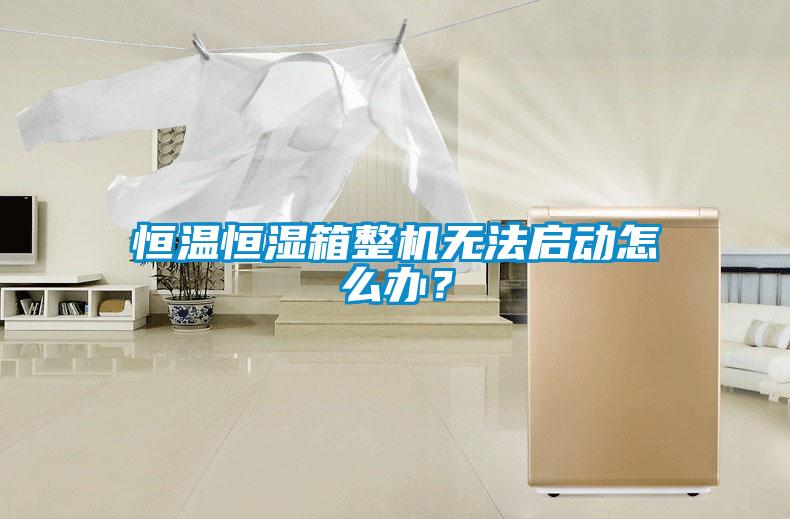 恒溫恒濕箱整機無法啟動怎么辦？