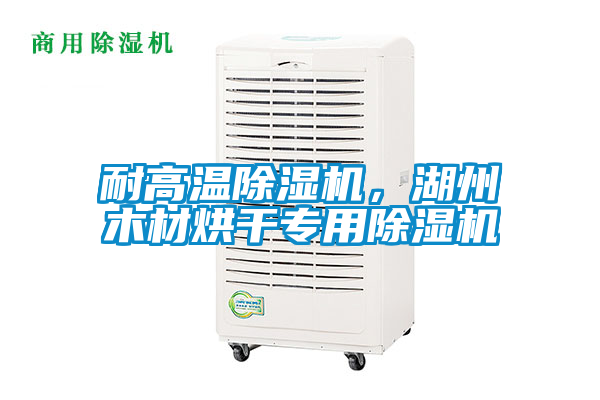 耐高溫除濕機，湖州木材烘干專用除濕機