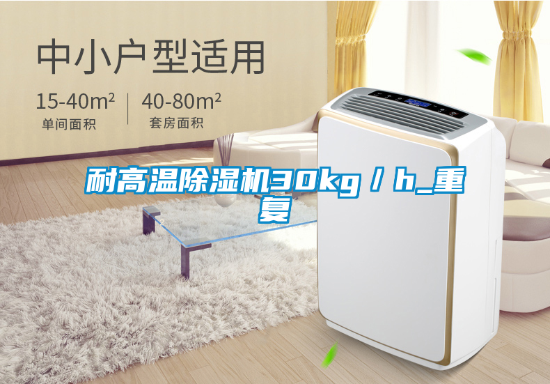 耐高溫除濕機30kg/h_重復