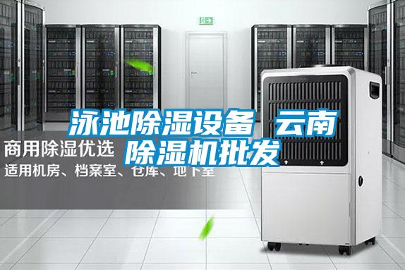 泳池除濕設(shè)備 云南除濕機批發(fā)