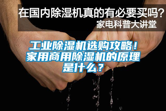 工業除濕機選購攻略！家用商用除濕機的原理是什么？