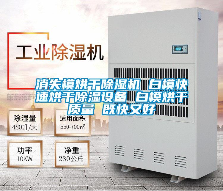 消失模烘干除濕機 白?？焖俸娓沙凉裨O備 白模烘干質量 既快又好