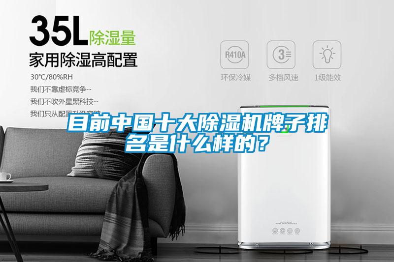 目前中國(guó)十大除濕機(jī)牌子排名是什么樣的？