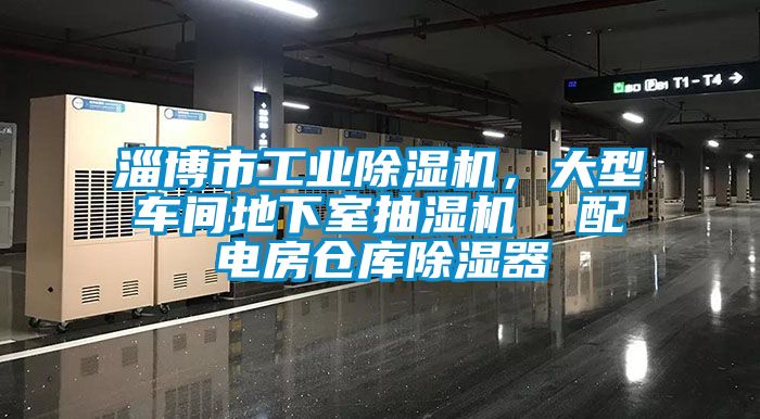 淄博市工業(yè)除濕機，大型車間地下室抽濕機  配電房倉庫除濕器