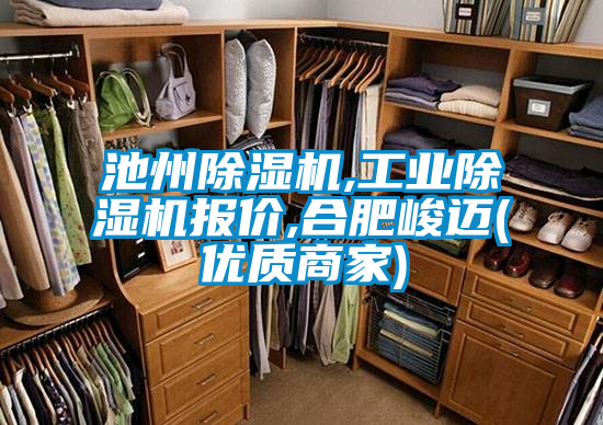 池州除濕機(jī),工業(yè)除濕機(jī)報價,合肥峻邁(優(yōu)質(zhì)商家)