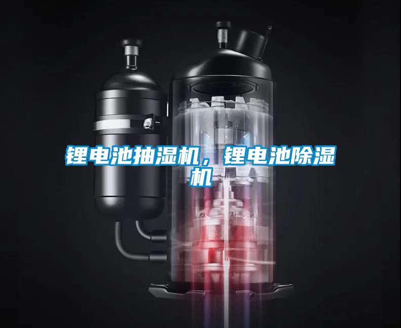 鋰電池抽濕機(jī)，鋰電池除濕機(jī)