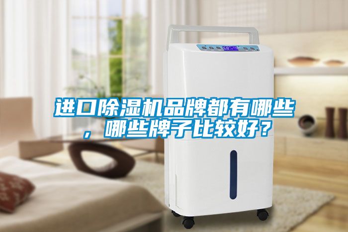 進口除濕機品牌都有哪些，哪些牌子比較好？