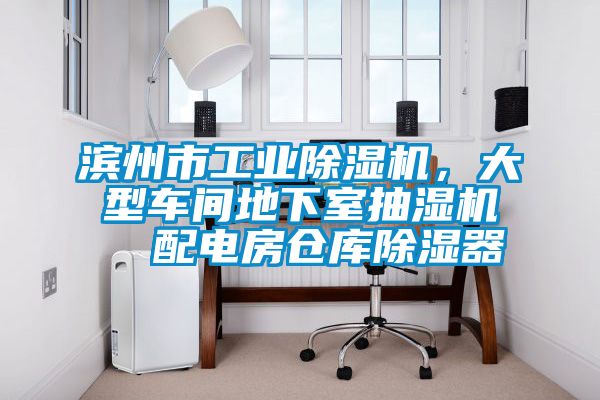 濱州市工業(yè)除濕機，大型車間地下室抽濕機  配電房倉庫除濕器